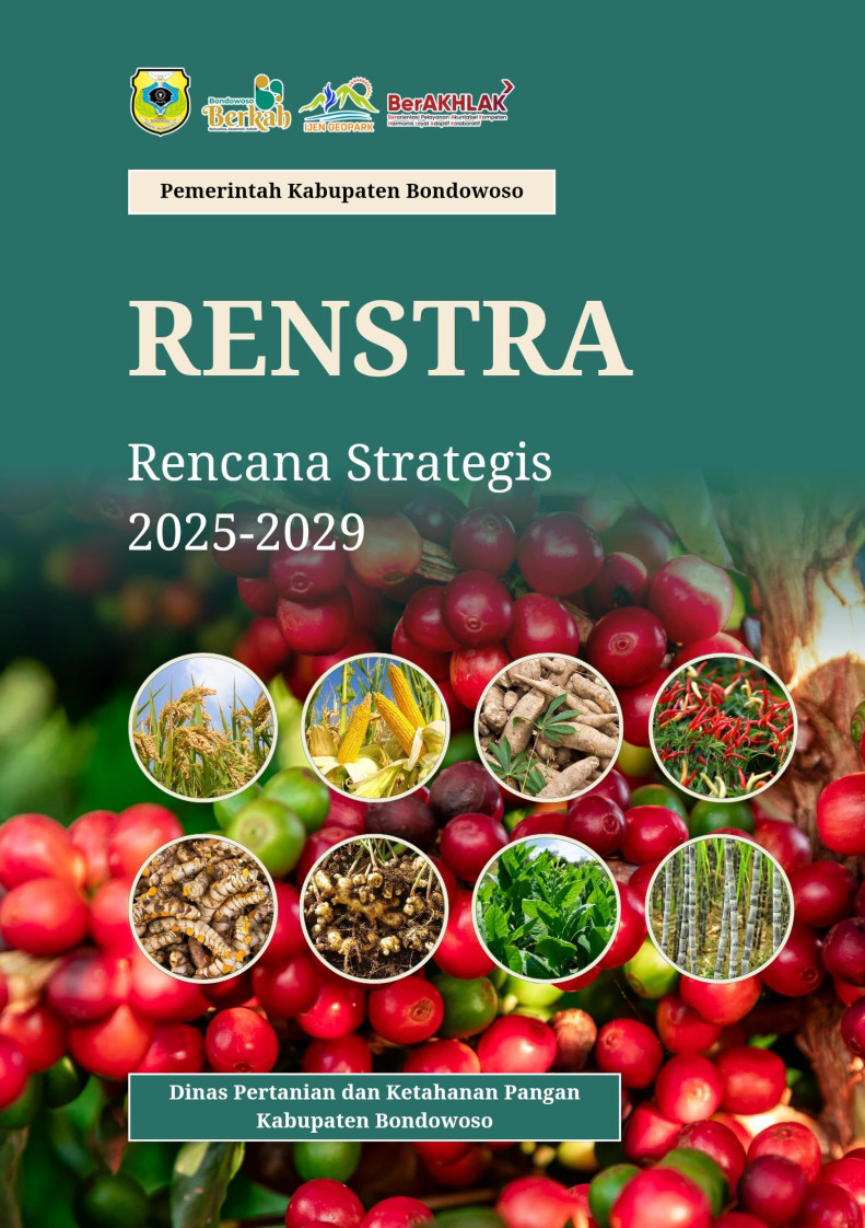Cover Renstra 2025-2029.jpg
